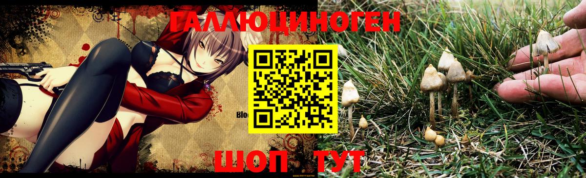 Псилоцибиновые грибы GOLDEN TEACHER Мыски