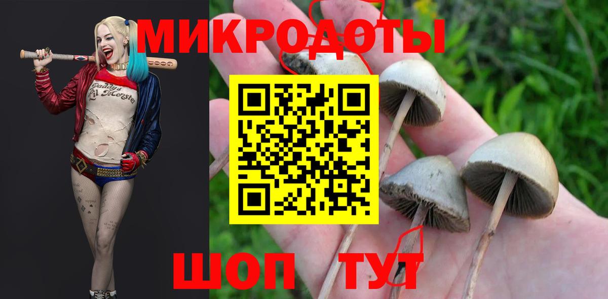 Псилоцибиновые грибы мухоморы Мыски