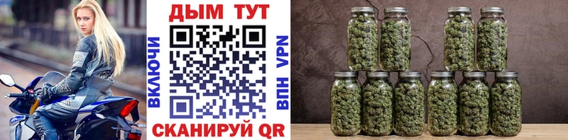 Бошки Шишки VHQ купить сайты Мыски